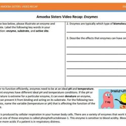 Amoeba sisters dna vs rna answer key