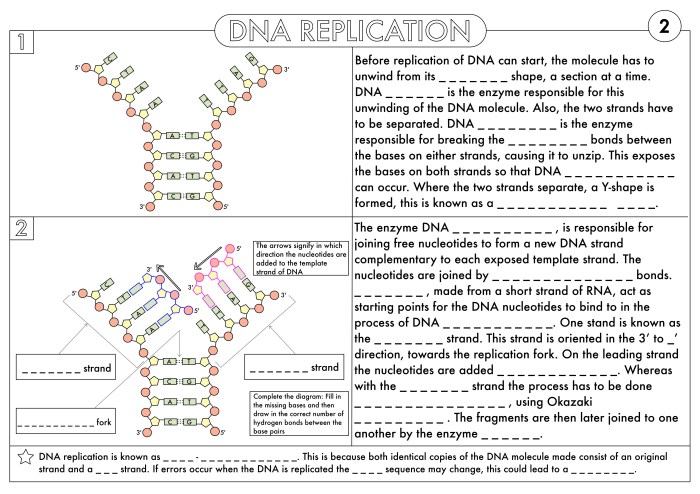 Practice protein synthesis answer key