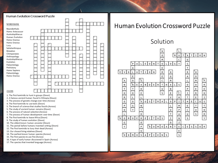 Steps in human evolution crossword