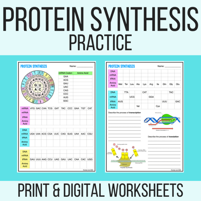 Practice protein synthesis answer key