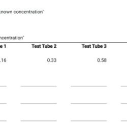 Molarity solution obtain fe3 solved