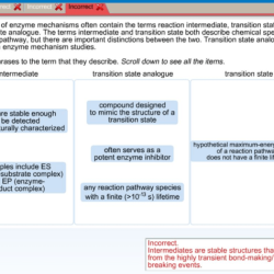 Mechanisms descriptions enzyme homeworklib ans analogue terms