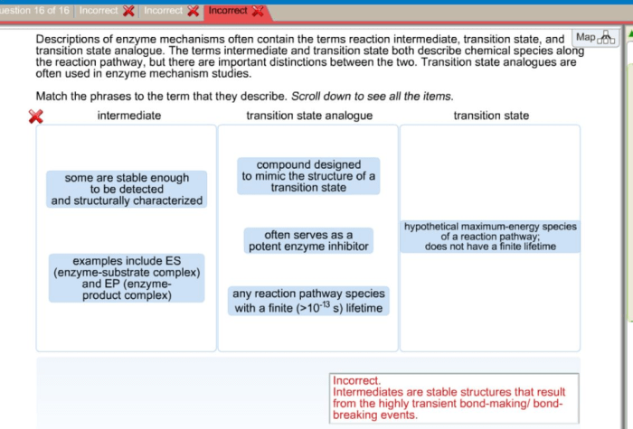 Mechanisms descriptions enzyme homeworklib ans analogue terms