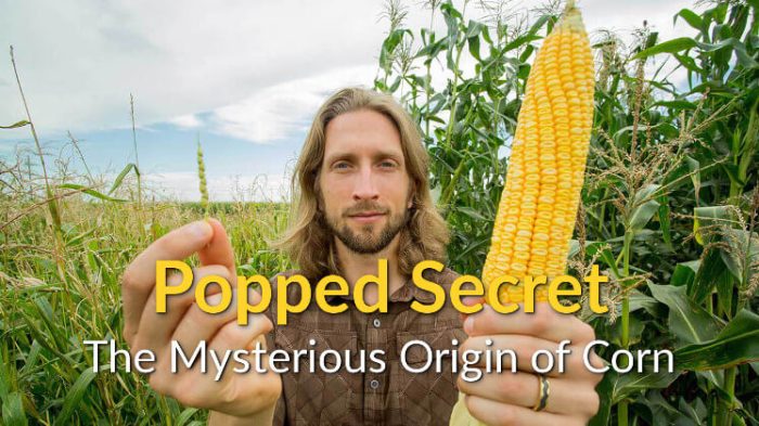 Popped secret the mysterious origin of corn worksheet answers